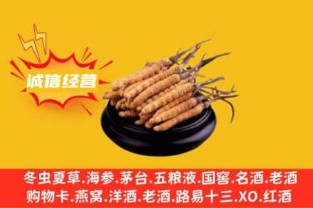 泰安回收冬虫夏草